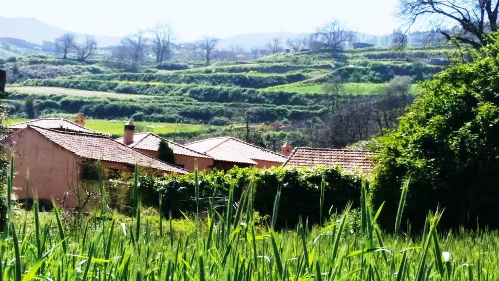 Rural Las Llanadas Villa Los Realejos Buitenkant foto